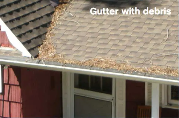 Wildfire Preparedness Week Day 1: Clean Your Roof and Rain Gutters!