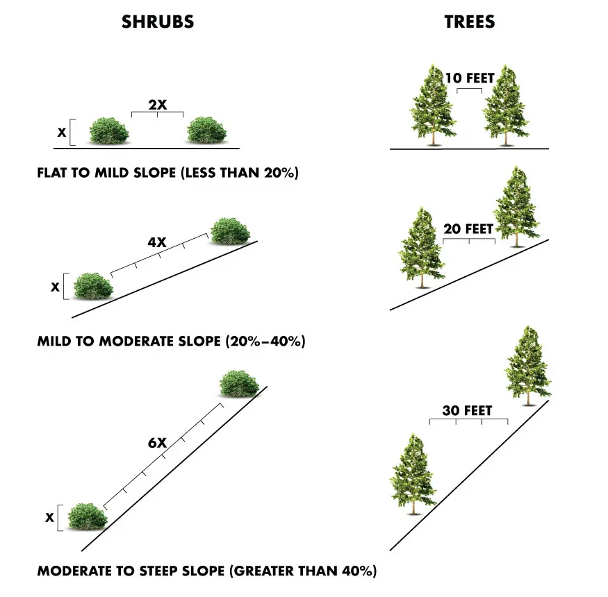 Minimum Tree and Shrub Horizontal Clearance Diagram.