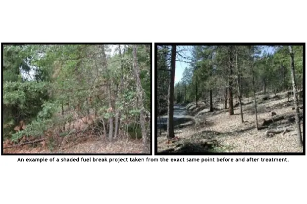 an example of a shaded fuel break project