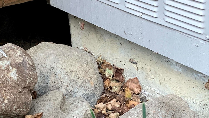 Leaves accumulating at base of house