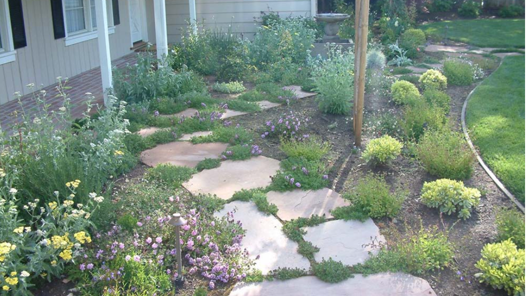 Plant Spacing in the Defensible Space