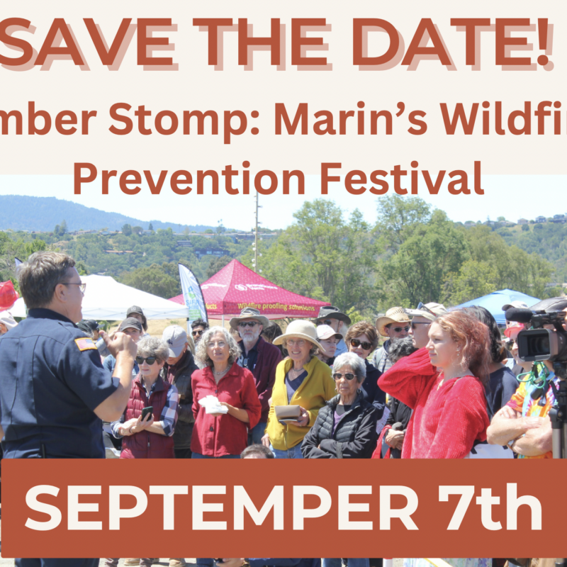 Text "Save the Date Ember Stomp September 7, 2024"