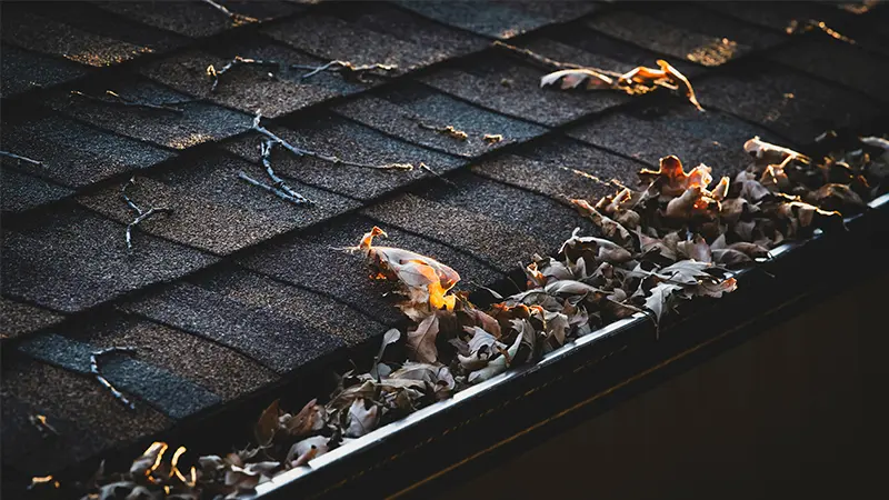 dried leaves in a house gutter