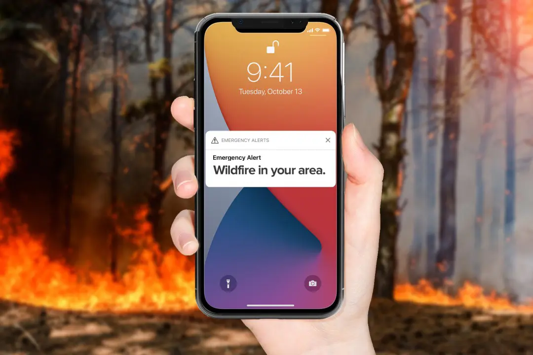 person holding up phone with wildfire alert