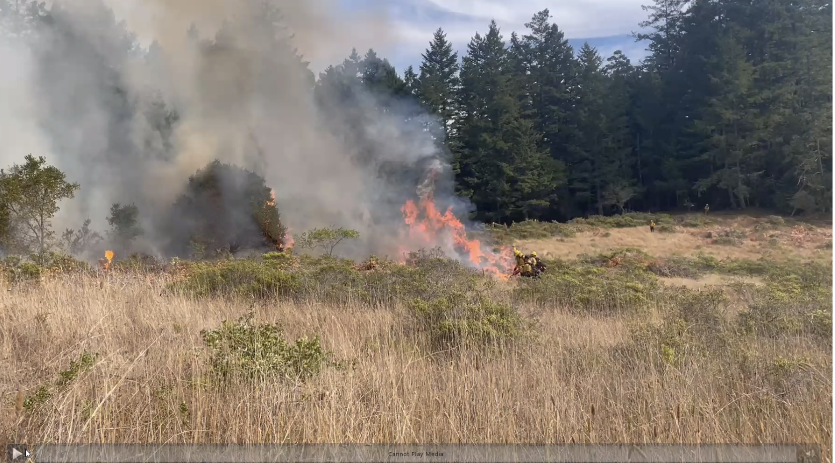 Prescribed Burn on Mt. Tam. 