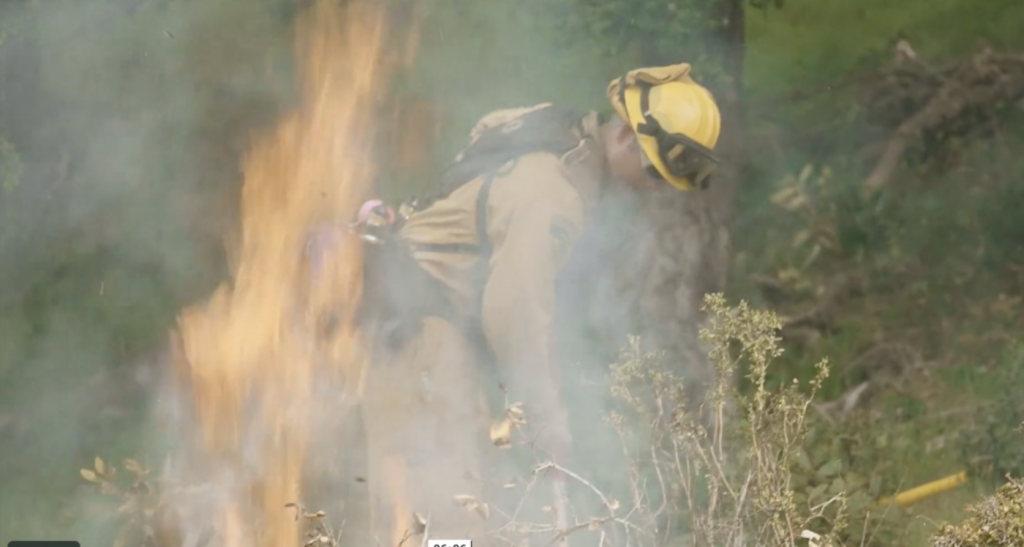 Marin Wildfire Partnerships VIDEO: MMWD “A Day in the Life of a Watershed Ranger”