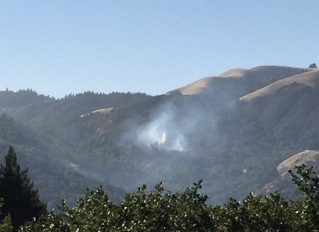Cascade Canyon in Fairfax Recognized as Marin’s Newest Firewise USA Site!
