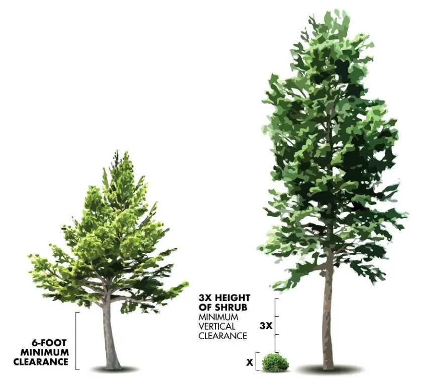 UC Master Gardener: Fire-Smart Landscaping Tip – November