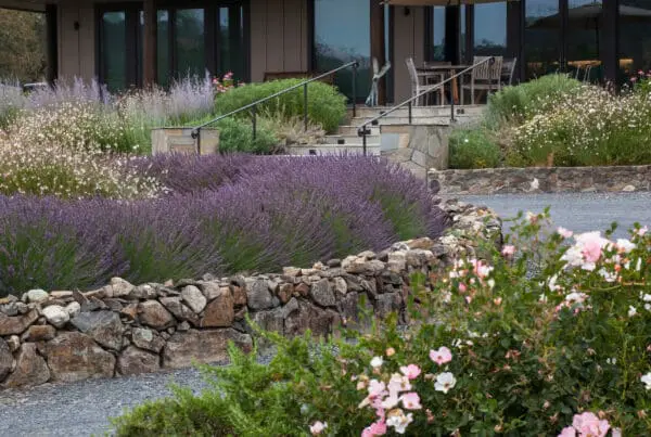 Island bed with stone walls, a home hardening and dis-continuous vegetation - Fire safety protection, country garden, Sonoma California