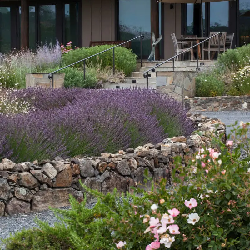 Island bed with stone walls, a home hardening and dis-continuous vegetation - Fire safety protection, country garden, Sonoma California