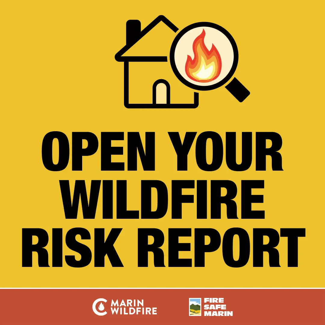 Graphic with text that reads, "Open your wildfire risk report"
