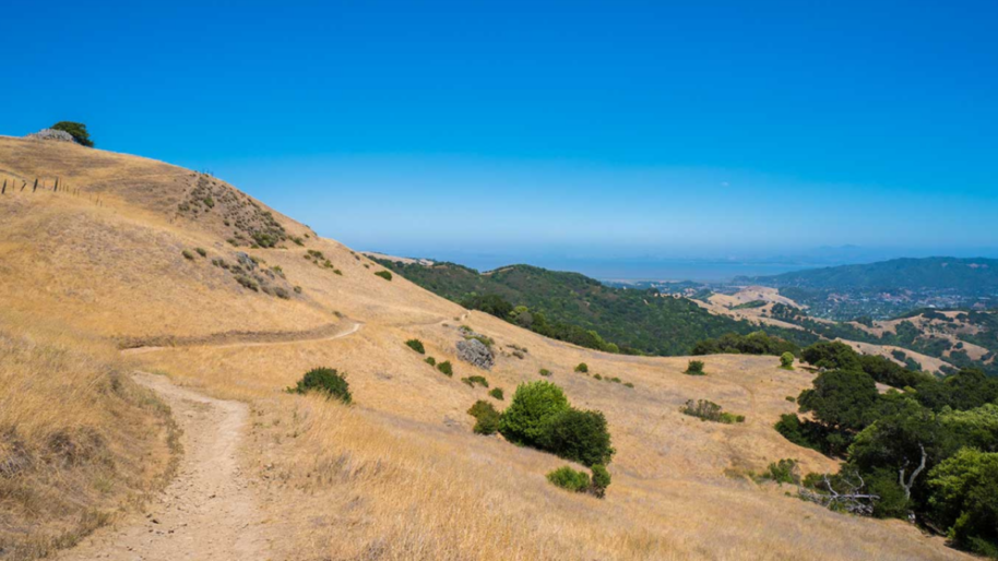 hillside in marin