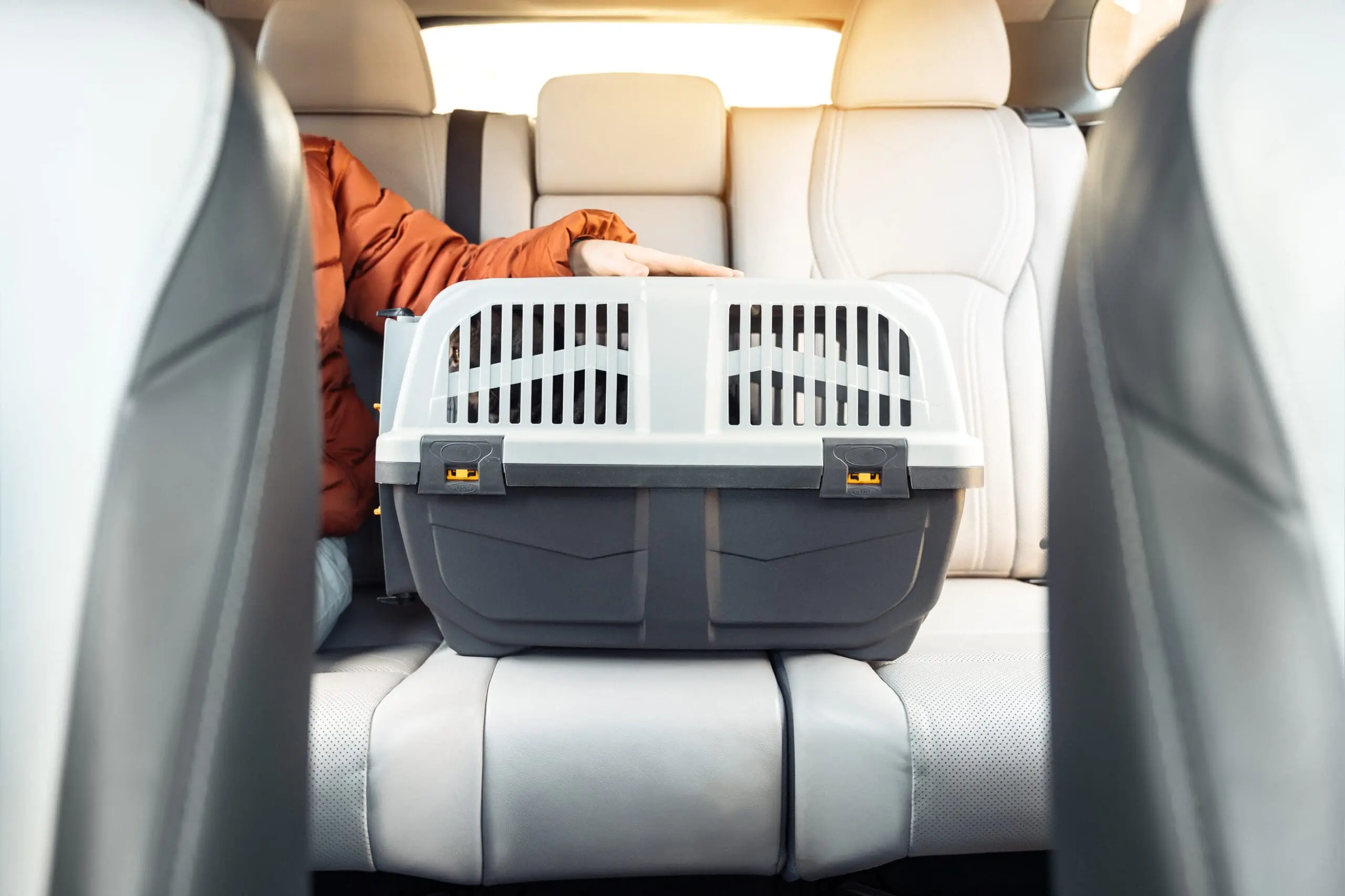 Female,Hand,Holding,Pet,Carrier,A,Back,Seat,Of,Modern