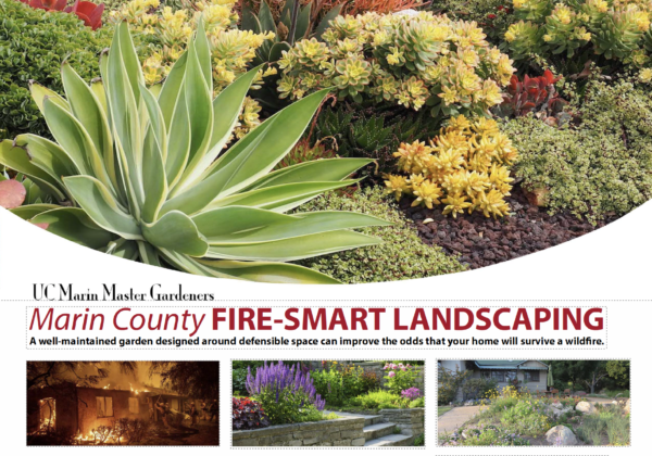 UC Marin Master Gardeners Fire Smart Landscaping